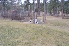 KODAK Digital Still Camera