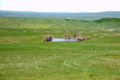 KODAK Digital Still Camera