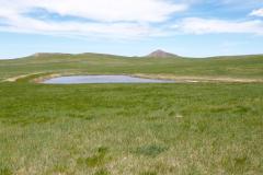 KODAK Digital Still Camera