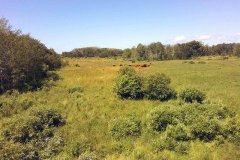 DCIM\100MEDIA\IMG_20220