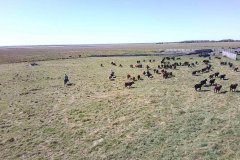 DCIM\100MEDIA\IMG_20220