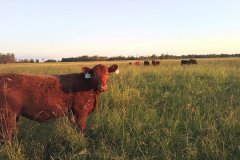 DCIM\100MEDIA\IMG_20220