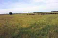 DCIM\100MEDIA\IMG_20220