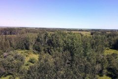 DCIM\100MEDIA\IMG_20220