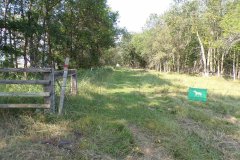 KODAK Digital Still Camera