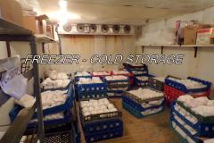 KODAK Digital Still Camera