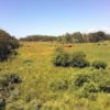 161705 Clearwater County, MM Choice +/- 1,920 Acre Grazing Land - NEW LISTING